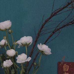 小乔裸体被❌叫爽
