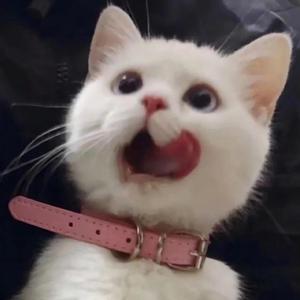 小乔裸体被❌叫爽
